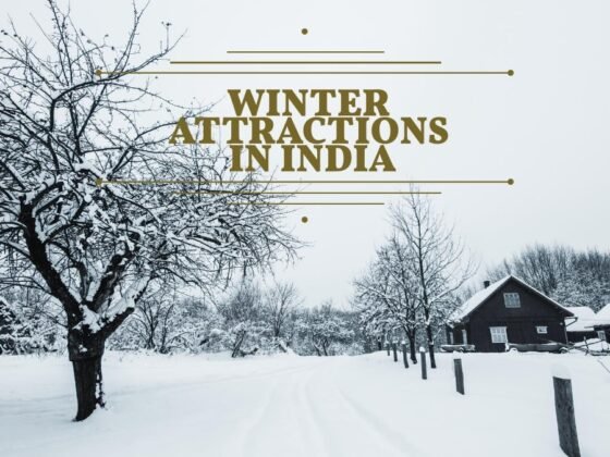 11 New Attractions for 2019 Winter Vacations in India