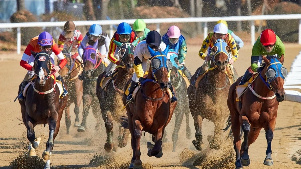 Horse Betting Tips