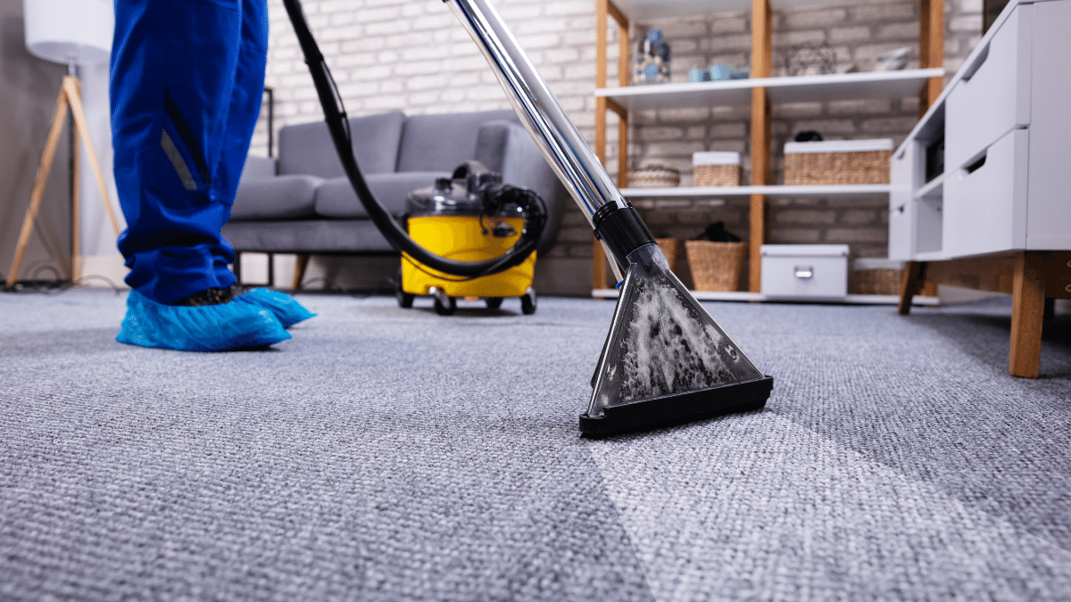 Hire A Carpet Cleaning Newcastle Expert