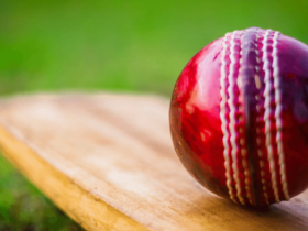 How Are Cricket Predictions Helping You Win Online