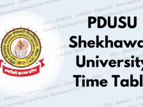 PDUSU Shekhawati University Time Table